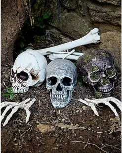 Large Realistic Skull Prop -Halloween Store 01103811 b