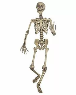5 Ft Hanging Skeleton Decoration