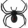 6 Inch Black Widow Spider