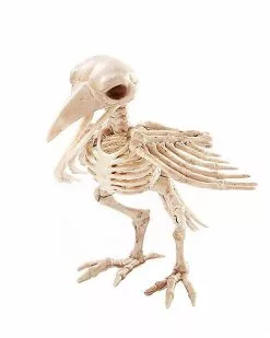 Skeleton Crow