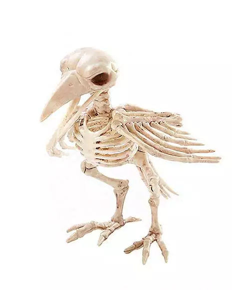 Skeleton Crow 3 Skeleton Crow