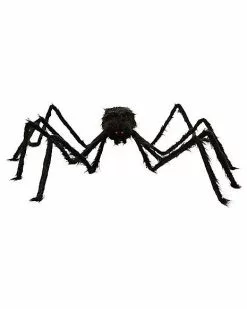 5 Ft Black Spider