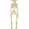 20 Inch Two-Headed Skeleton -Halloween Store 01344241 a