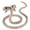 Two-Headed Snake Skeleton - Decorations -Halloween Store 01344316 a