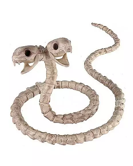 Two-Headed Snake Skeleton - Decorations 3 Two-Headed Snake Skeleton - Decorations