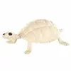 Skeleton Turtle - Decorations -Halloween Store 01387117 a