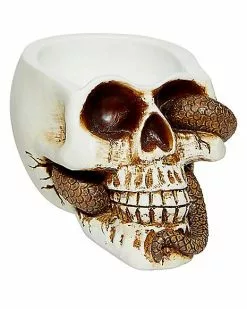Snake Skull Box 9 Snake Skull Box -Halloween Store 01530286 b
