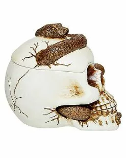 Snake Skull Box 11 Snake Skull Box -Halloween Store 01530286 d