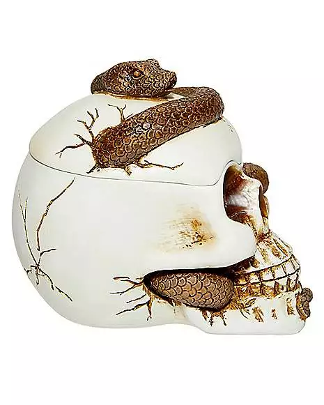 Snake Skull Box 6 Snake Skull Box - Image 4