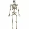 5 Ft. Digieye Hanging Skeleton Decoration -Halloween Store 01547751 a