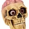 Skull With Brain Decoration 2 Skull With Brain Decoration -Halloween Store 01573070 a