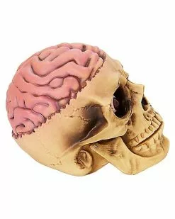Skull With Brain Decoration -Halloween Store 01573070 b