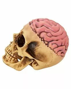 Skull With Brain Decoration -Halloween Store 01573070 d