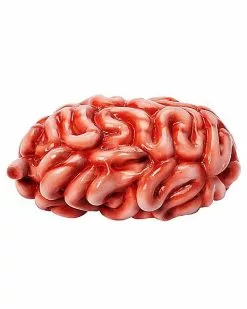 Intestines Prop -Halloween Store 01588029 b