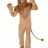 Adult Lion Costume - The Wizard Of Oz -Halloween Store 01595495 a