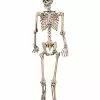 5 Ft Pose 'N' Stay Skeleton -Halloween Store 07125149 a