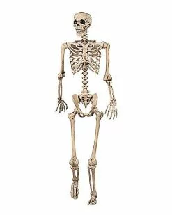 5 Ft Pose 'N' Stay Skeleton