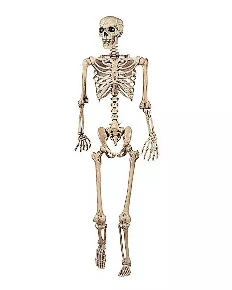 5 Ft Pose 'N' Stay Skeleton 3 5 Ft Pose 'N' Stay Skeleton