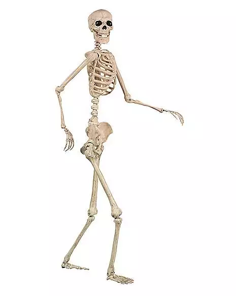 5 Ft Pose 'N' Stay Skeleton 4 5 Ft Pose 'N' Stay Skeleton - Image 2